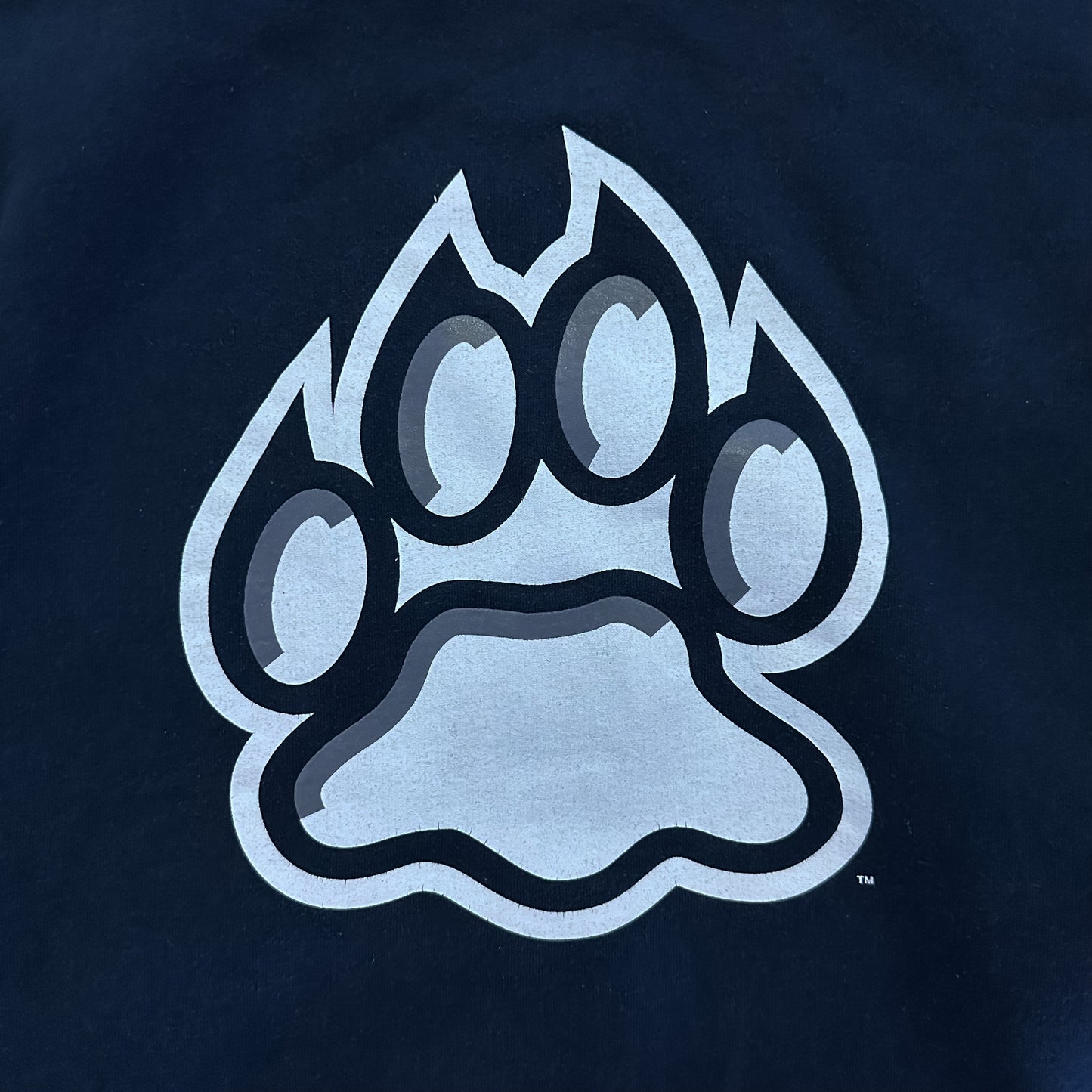 S/M | Champion Hoodie Reverse Weave UNH